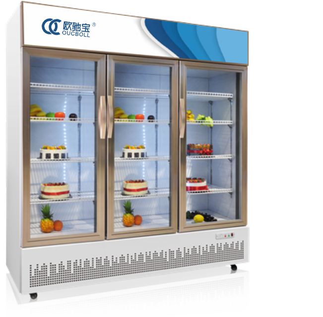 디스플레이 냉동고